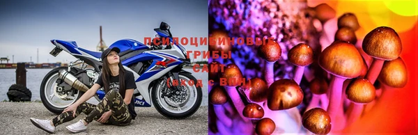 прущая мука Осинники
